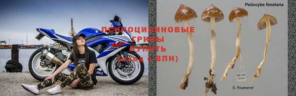 бутират Аркадак