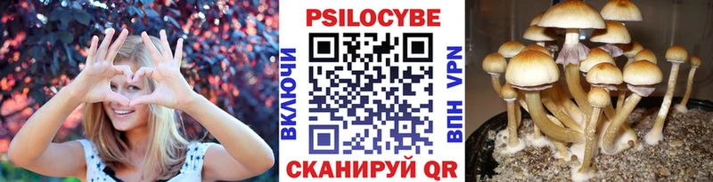 Псилоцибиновые грибы Cubensis  наркотики  Изобильный 