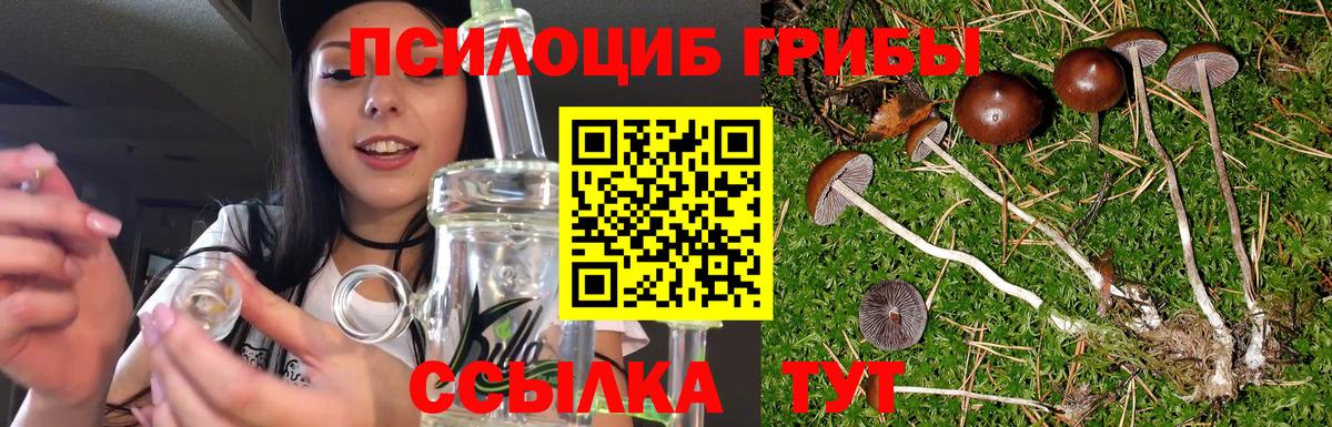 Псилоцибиновые грибы Psilocybe  Вход с VPN  Изобильный 